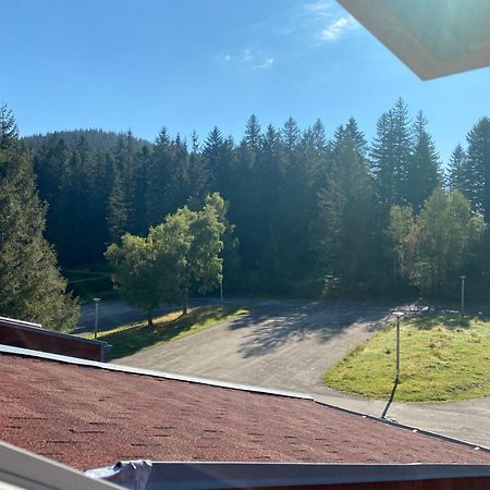 Au P'Tit Nid Douillet De Lea Apartment Muhlbach-sur-Munster Bagian luar foto