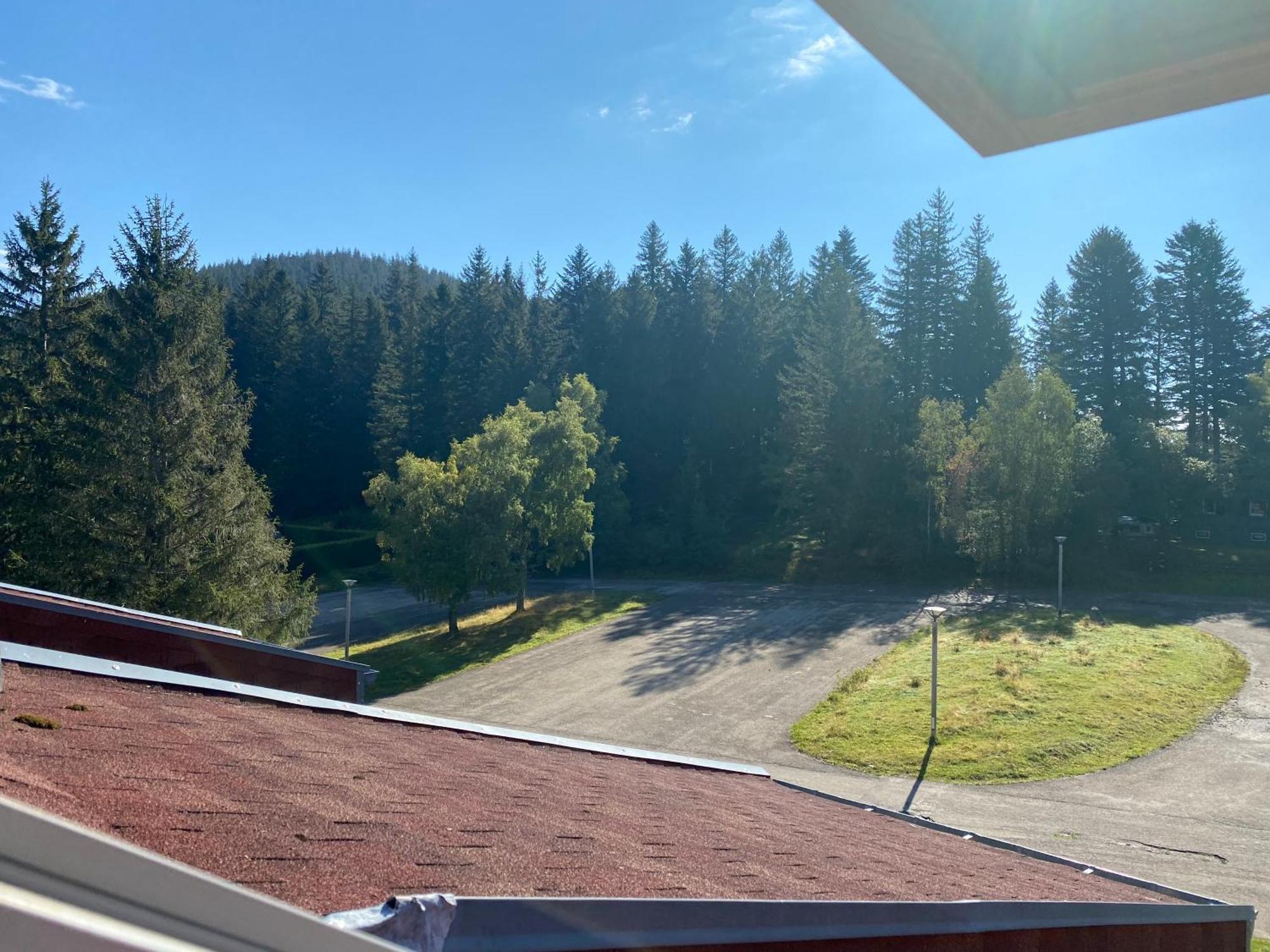 Au P'Tit Nid Douillet De Lea Apartment Muhlbach-sur-Munster Bagian luar foto