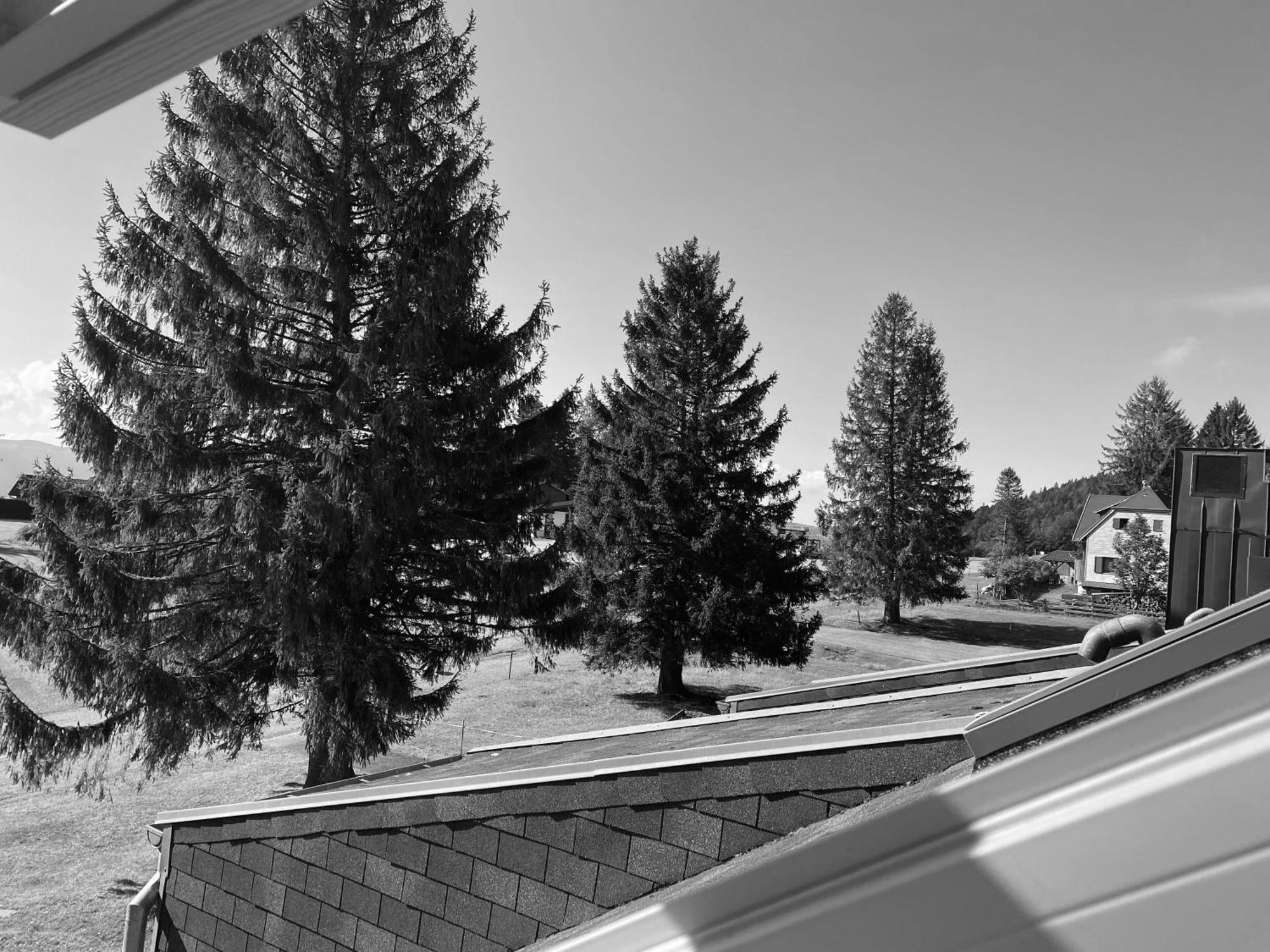 Au P'Tit Nid Douillet De Lea Apartment Muhlbach-sur-Munster Bagian luar foto